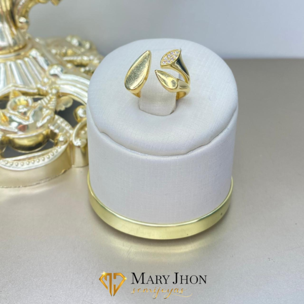 Anillo Reg