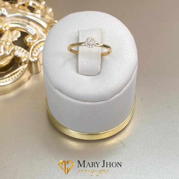 Anillo Ducha